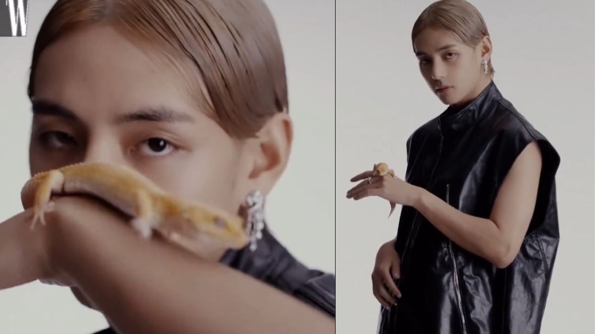 BTS V And Lizard Join Forces For Photoshoot ARMY s Reactions Pour In